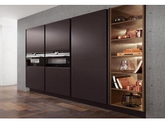 Wooden Cabinet - Dark Color Kitchen Cabinet With Lacquer Finish