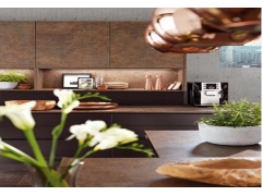 Wooden Cabinet - Dark Color Kitchen Cabinet With Lacquer Finish