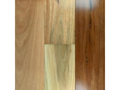 Multilayer Wood Flooring - Smooth Australian Eucalyptus Engineered Hardwood Flooring Spotted Gum